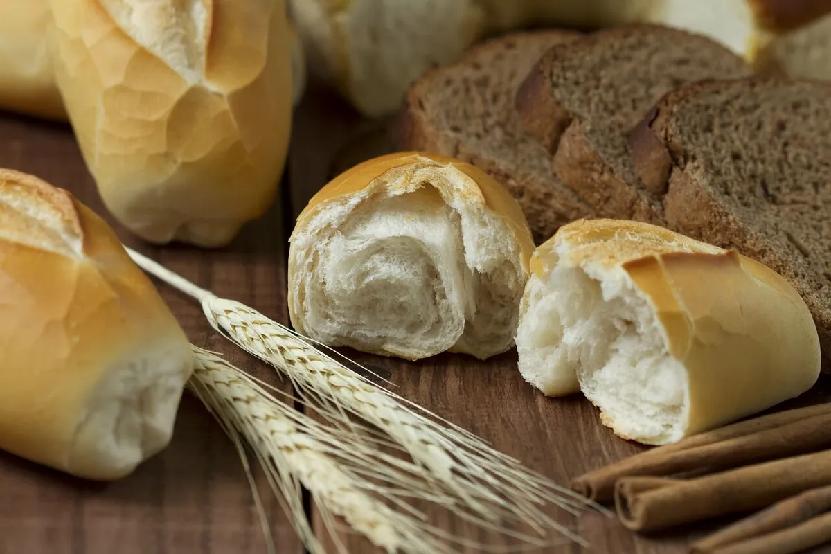 The Bread of Lauragais - Photo 5