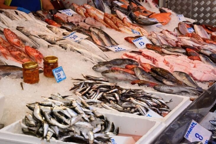Fish