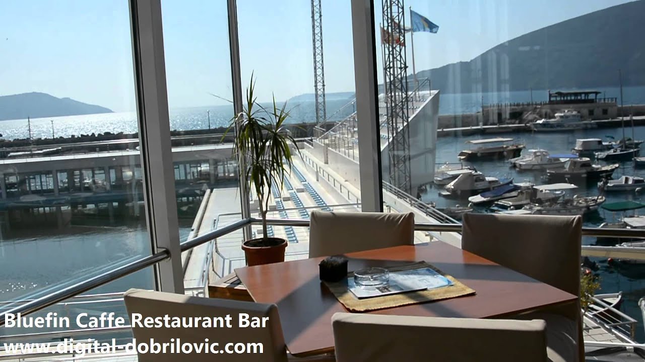 Bluefin Caffe Restaurant Bar Skver