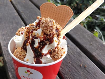 Janny's Ice Cream - Photo 3