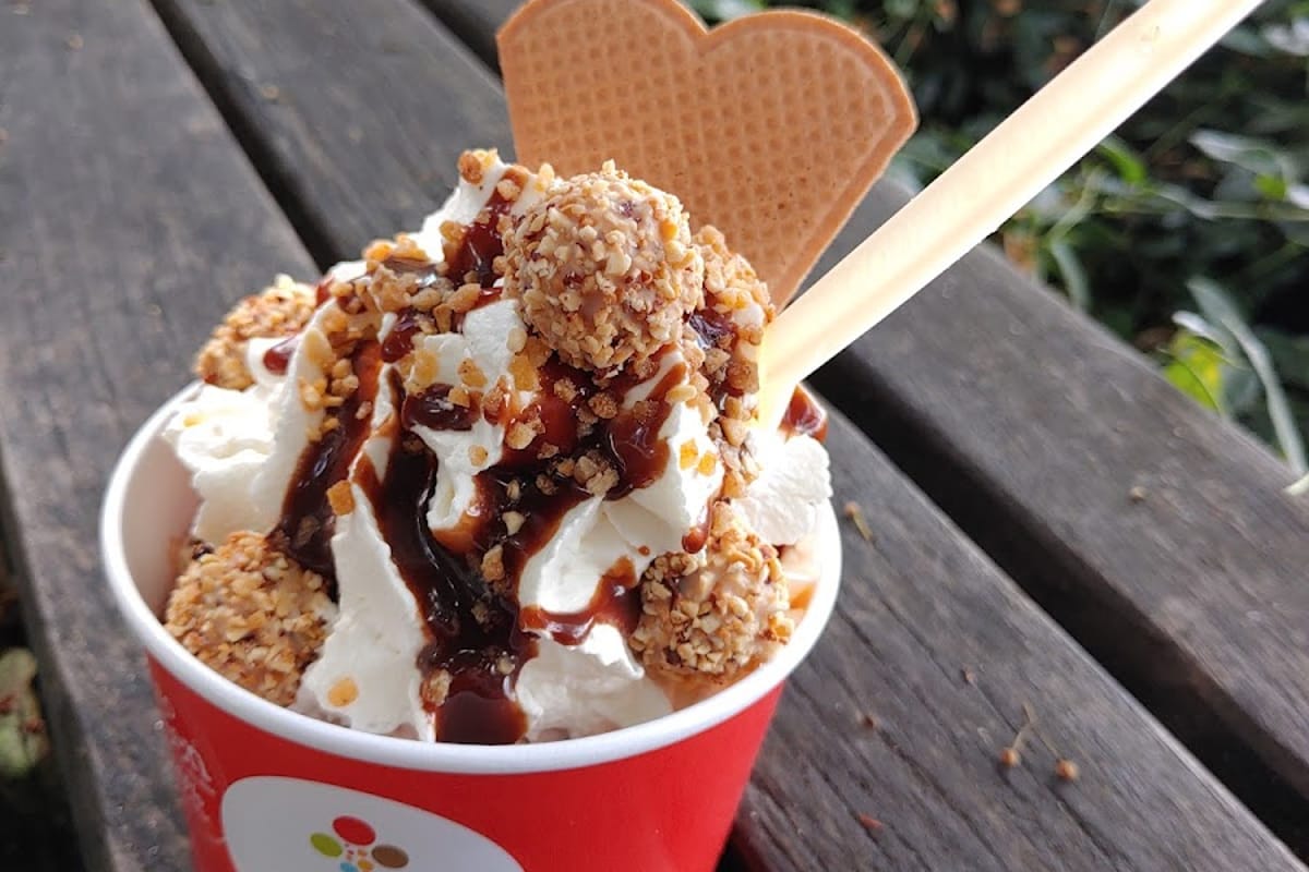 Janny's Ice Cream - Photo 3