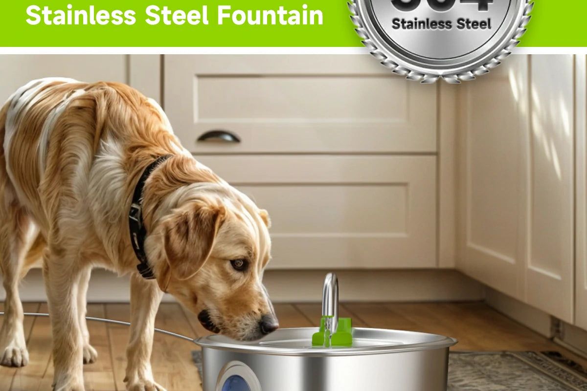 Dog Fountain - Photo 3