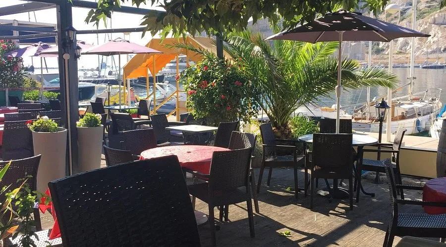 The Dolphin - Main photo