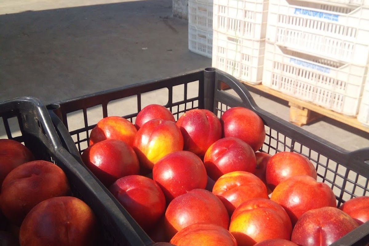Greek Market - Photo 5