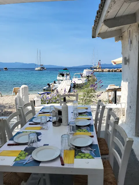 Beach Bar