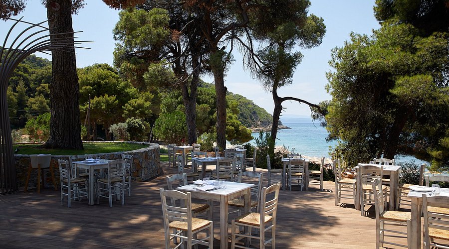 Nest Fish Restaurant