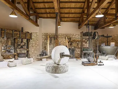 Enotis - Olive Groves & Museum - Photo 3