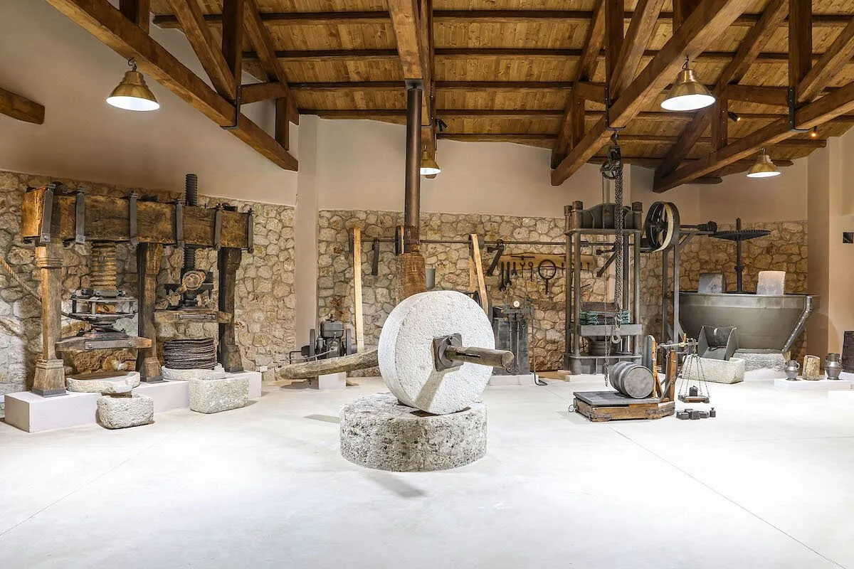 Enotis - Olive Groves & Museum - Photo 3
