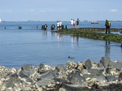 Boat Trips Oosterschelde - Photo 2