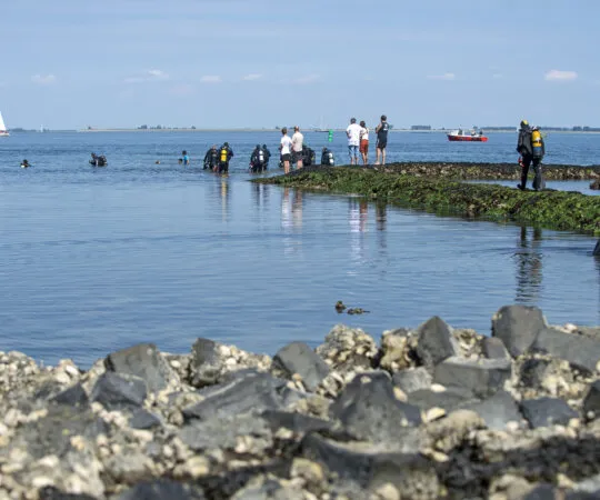 Boat Trips Oosterschelde - Photo 2