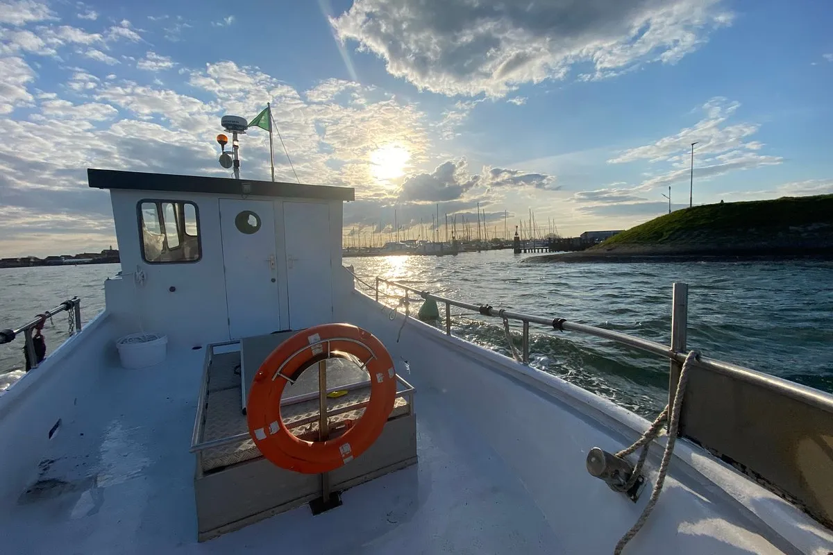 Boat Trips Oosterschelde - Photo 3