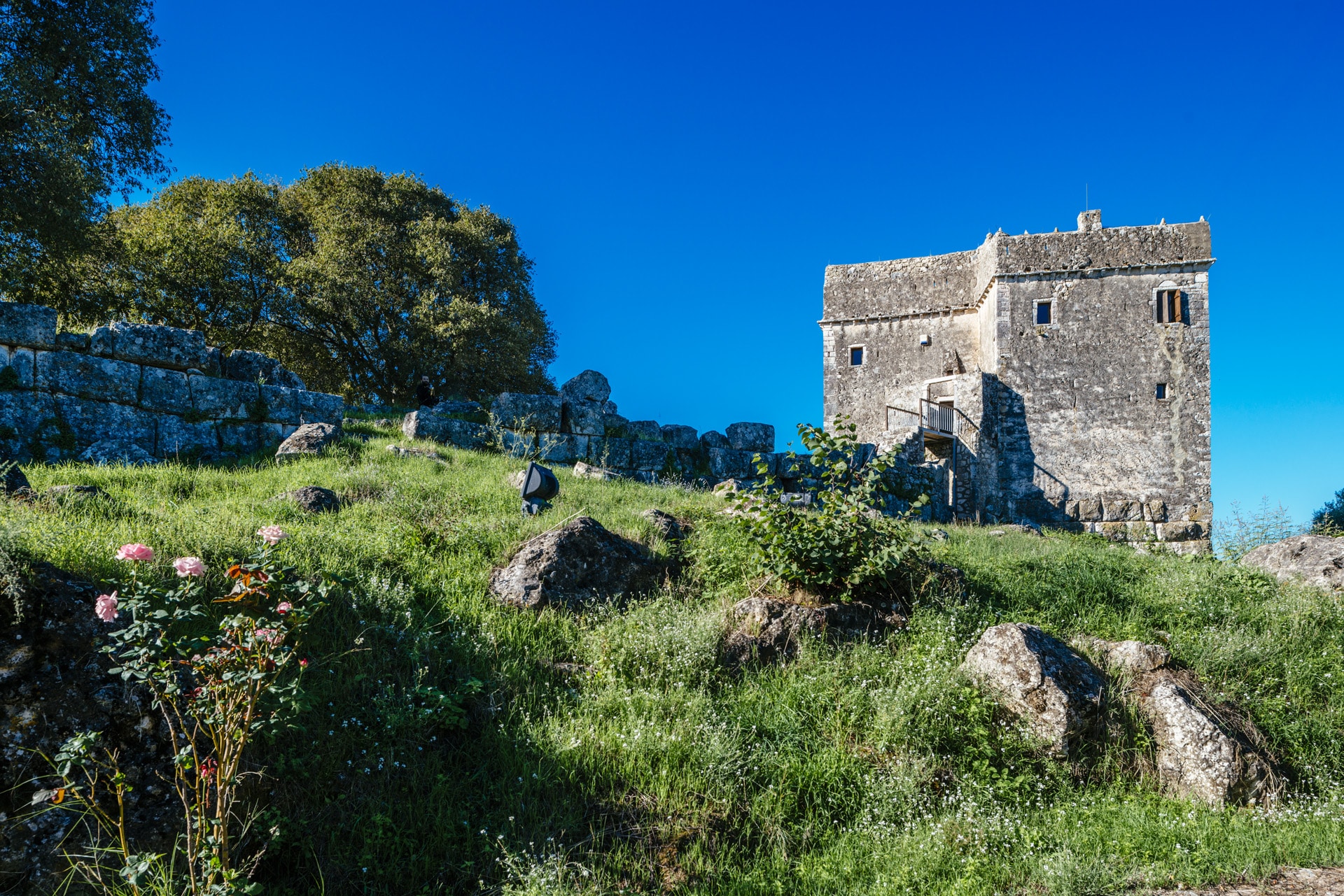Ragio Tower - Photo 4