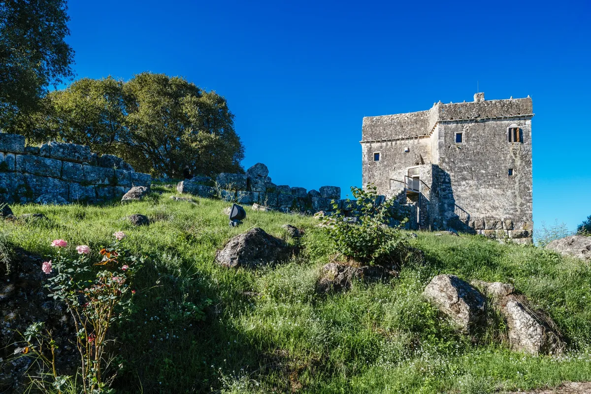 Ragio Tower - Photo 4