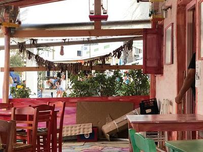 Zorbas - Photo 2
