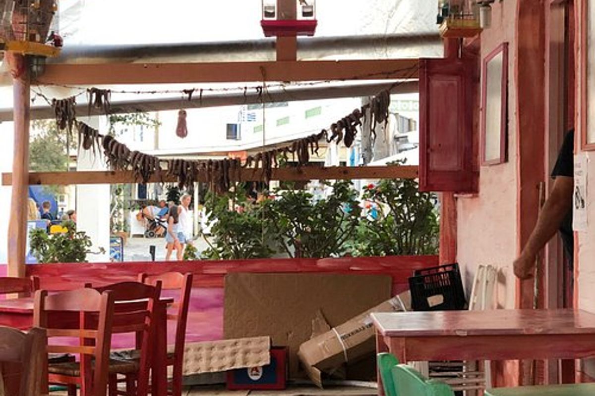 Zorbas - Photo 2