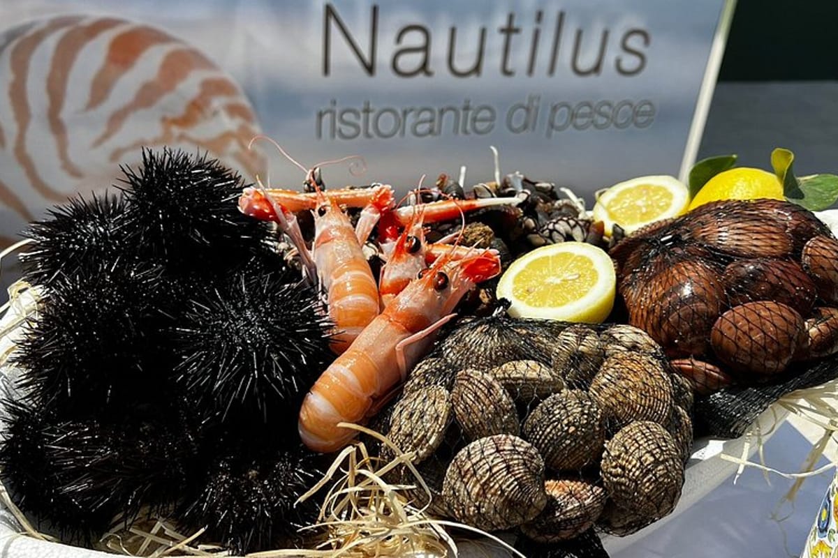 Nautilus Beach - Photo 2