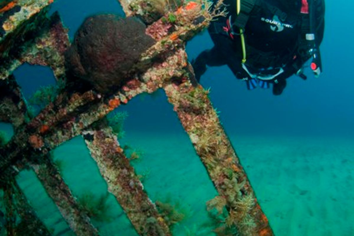 Serifos Scuba Divers - Photo 4