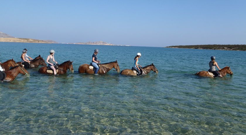 Kokou riding center