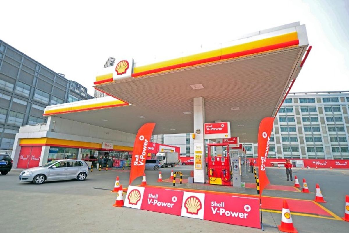Shell - Photo 1