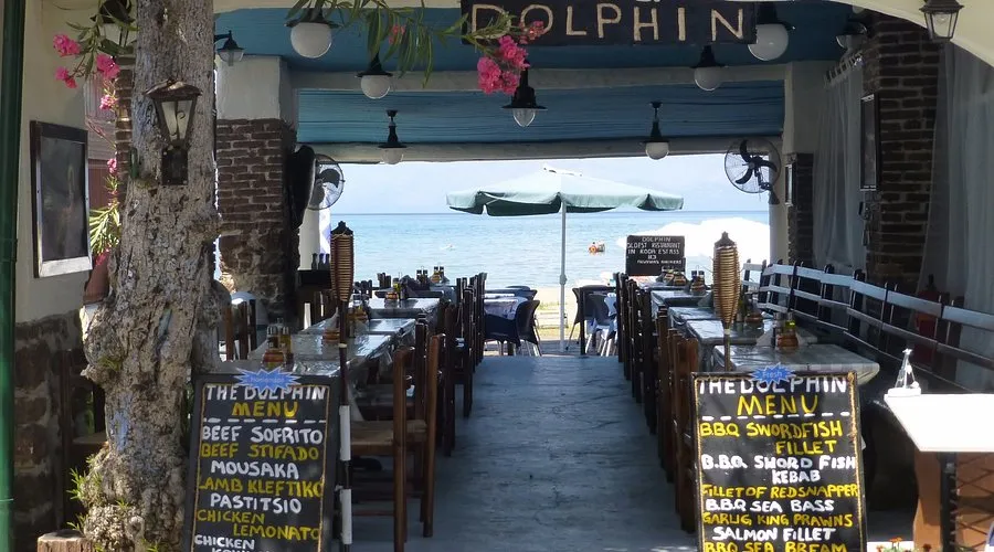 Dolphin - Photo 1