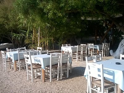 Skari - Photo 2