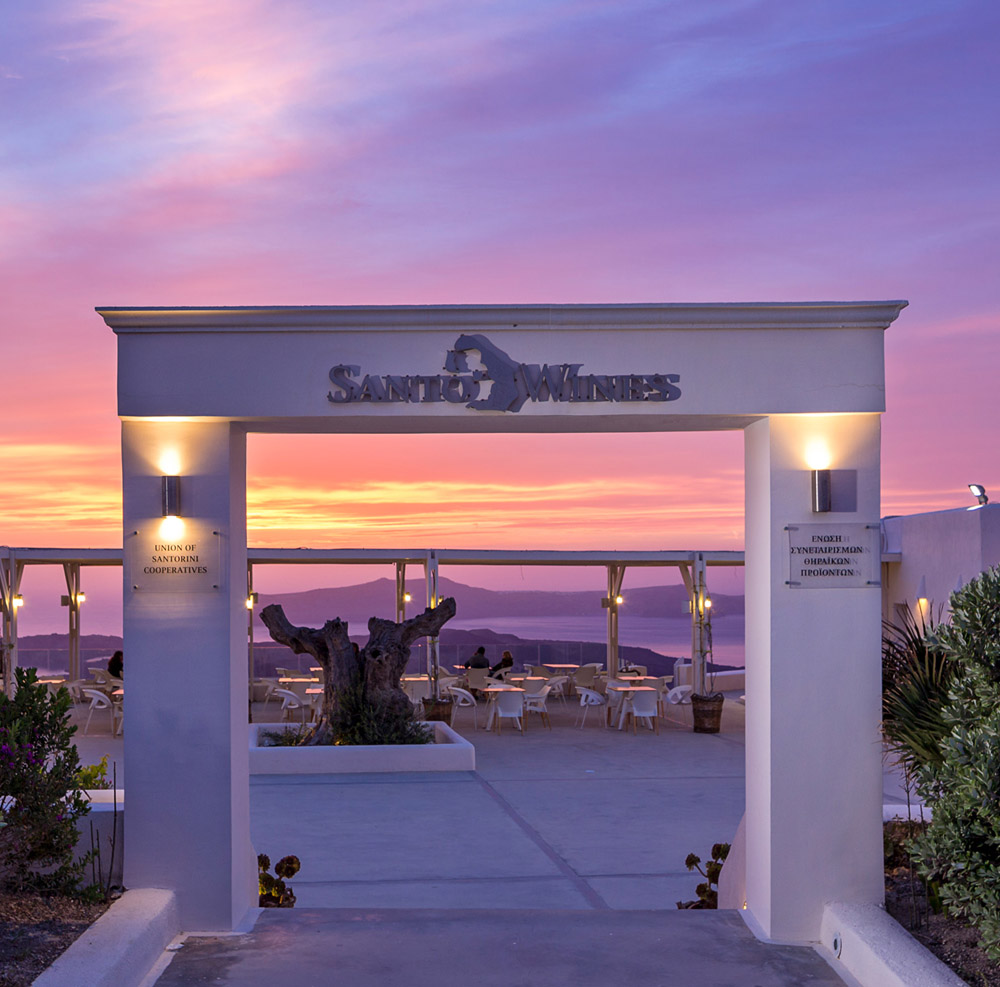 Santo Wines