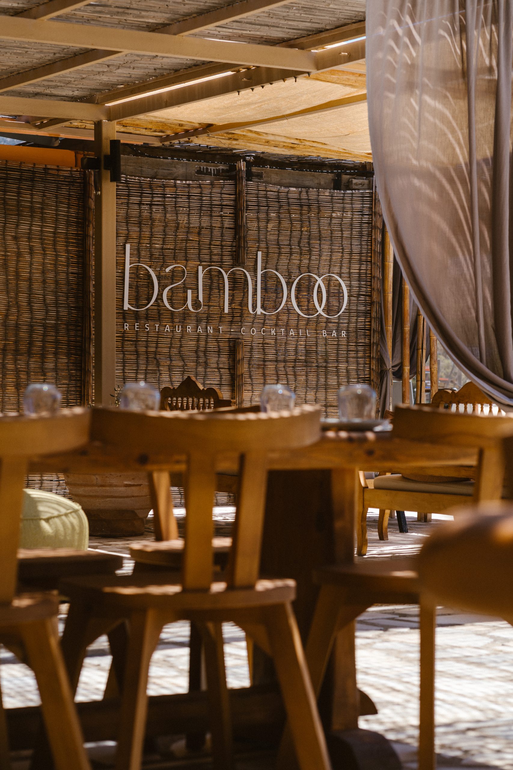 Bamboo - Photo 4