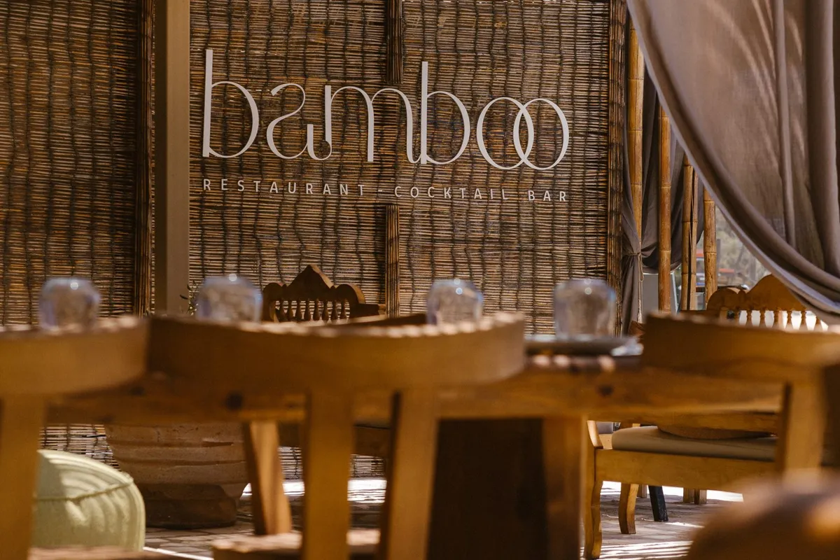 Bamboo - Photo 4
