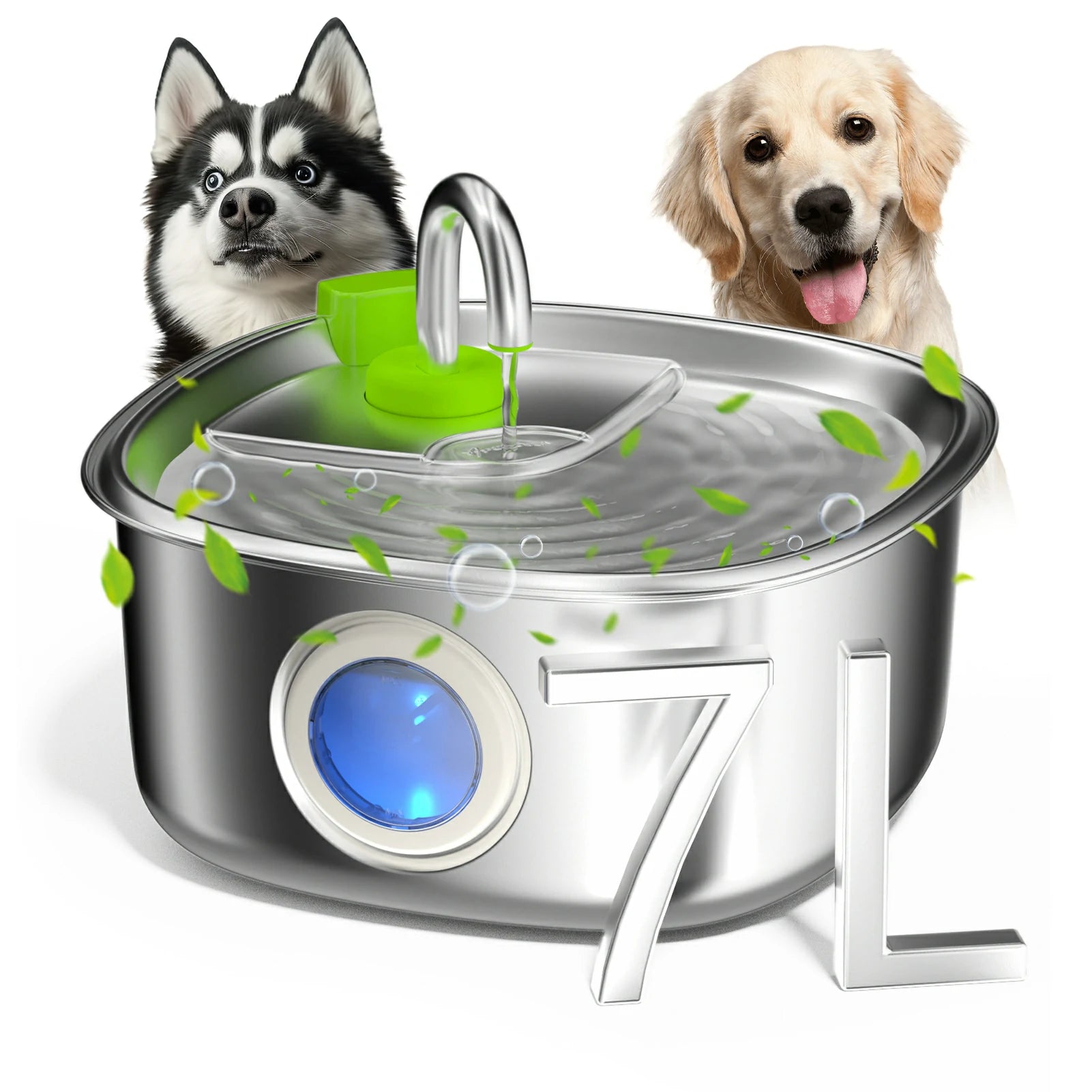 dog fountain