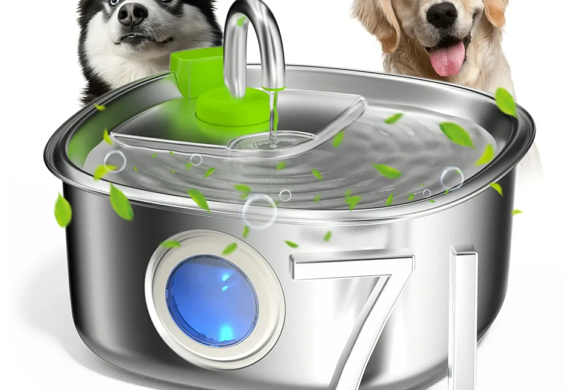 Dog Fountain - Photo 1