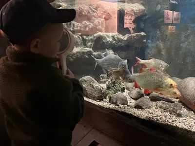 The Vättern Aquarium - Photo 4