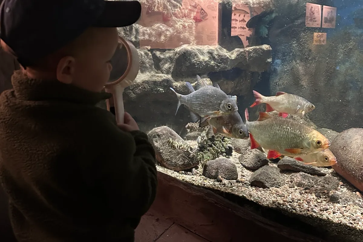 The Vättern Aquarium - Photo 4