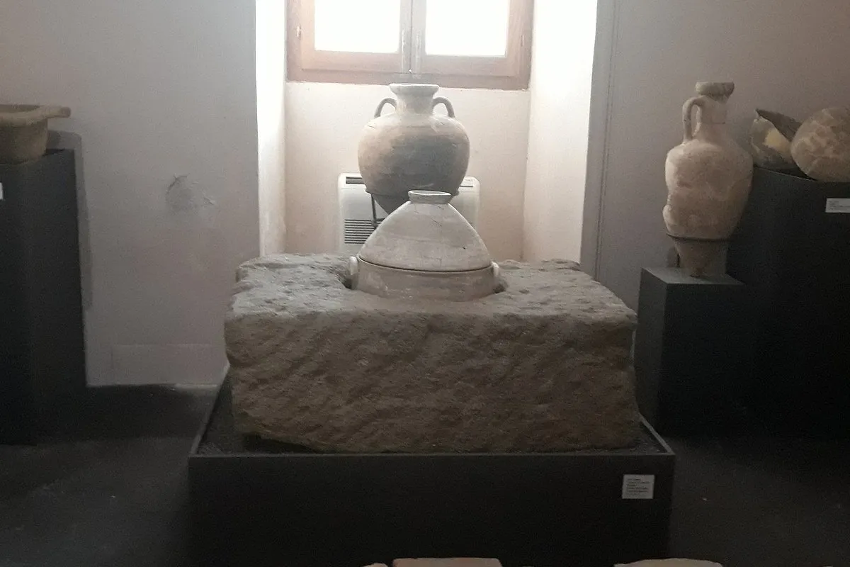 Domenico Ryolo Ethnoanthropological and Natural History Museum - Photo 4