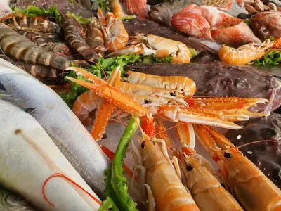Thalassa Fish Market Amphithea - Photo 3