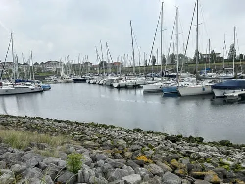 Mussel Boulevard - Photo 3