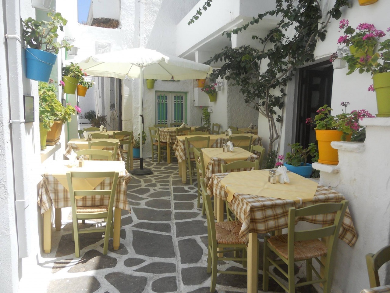 Vasilis - Photo 5