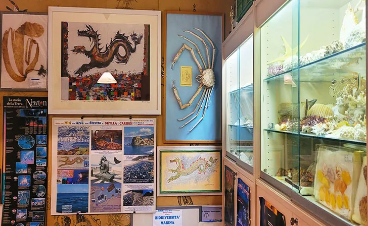 Museum of Marine Biology and Paleontology - Photo 1