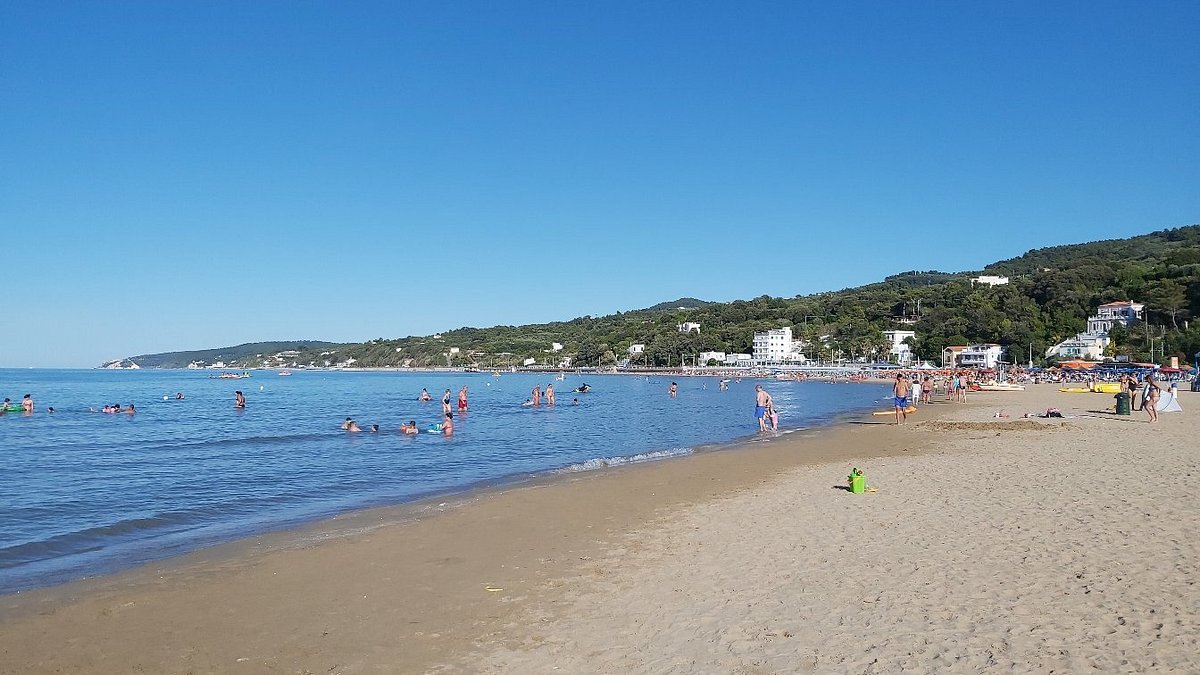 Lido Nautilus