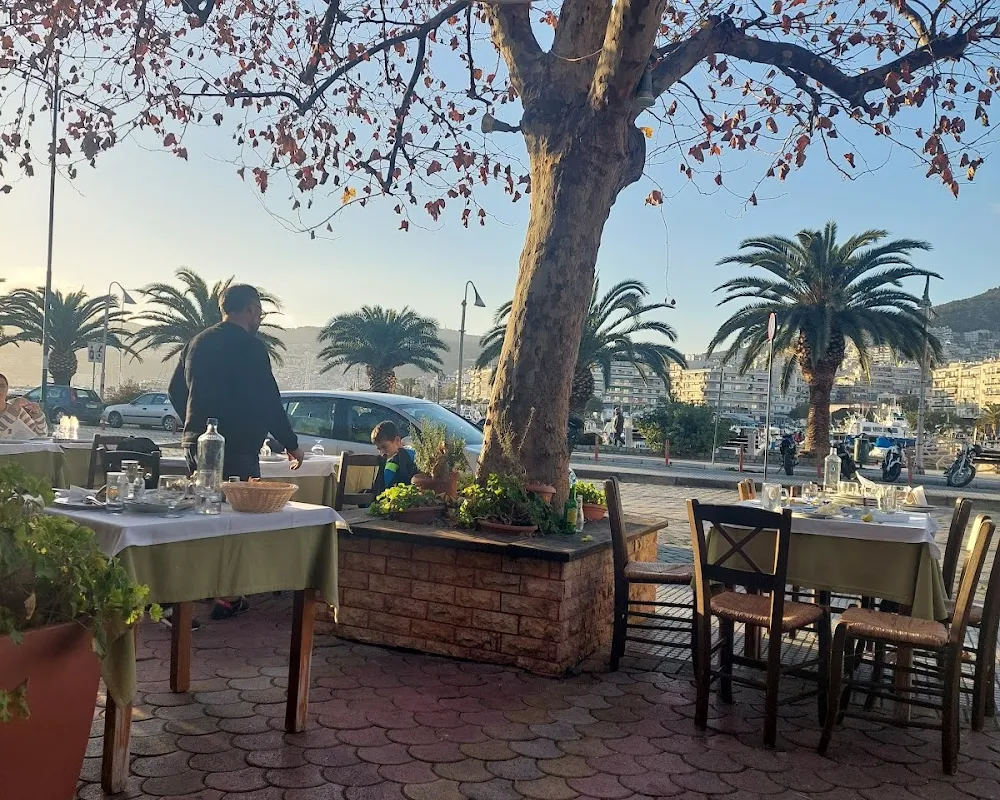 Panos - Zafira - Photo 3