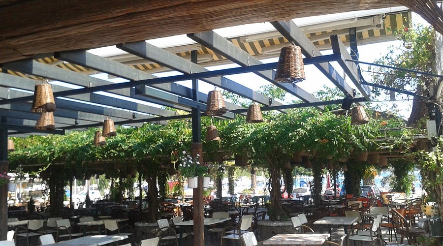 Molfetta Snack Bar - Photo 2