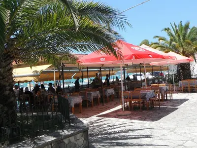 Alekos - Photo 1
