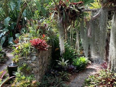 Botanical Gardens Service Station - Photo 1
