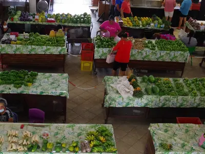 Raiatea Market - Photo 2