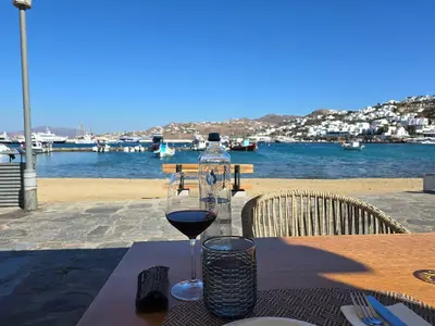 Frankie Mykonos - Photo 1
