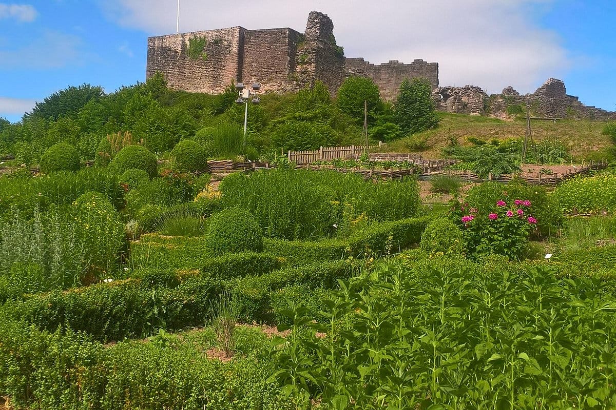 The Castle - Main photo