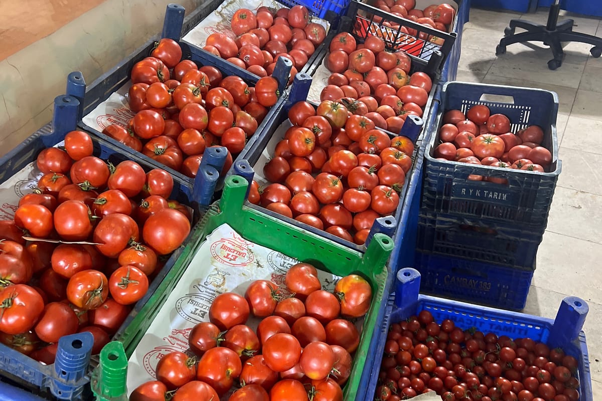 Kaş Greengrocer